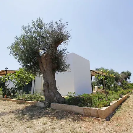 Hébergement de vacances Casa Reemi Torre Vado