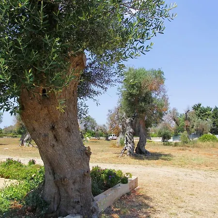 Casa Reemi